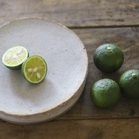 やま川特製 すだちぽん酢