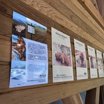 ビトウィーン ザ ブレッド - 展示物