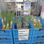 農産物直売所 ぽんぽこ - 店内