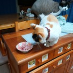 農産物直売所 ぽんぽこ - 食べてみた