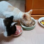 農産物直売所 ぽんぽこ - 食べてみた