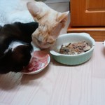 農産物直売所 ぽんぽこ - 食べてみた