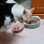 農産物直売所 ぽんぽこ - 食べてみた