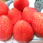 農産物直売所 ぽんぽこ - 食べてみた