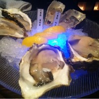 MAIMON GINZA - 