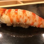 鮨桂太 -  車海老