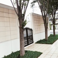 チェント - 