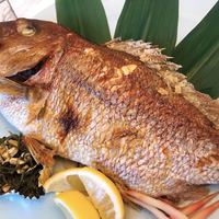 桐生 吉野家 - 