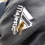 埼玉県営大宮公園野球場 - ずっとくっ付いてた蜂くん