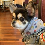 軽井沢ホテルそよかぜ - 