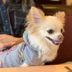 軽井沢ホテルそよかぜ - 