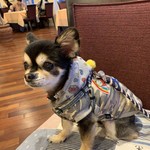 軽井沢ホテルそよかぜ - 