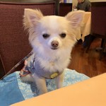 軽井沢ホテルそよかぜ - 