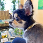 軽井沢ホテルそよかぜ - 