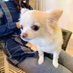 軽井沢ホテルそよかぜ - 