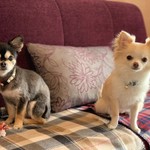 軽井沢ホテルそよかぜ - 