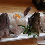 松月 - トラカサゴとタケノコメバル