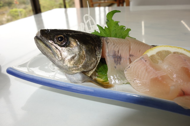 花の木公園 大海 魚介料理 海鮮料理 食べログ 花の木公園 大海 魚介料理 海鮮料理 食べログ