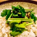 Rojiura Curry SAMURAI. 吉祥寺店 - グリーンカレー（パクチー）