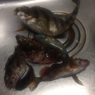 長崎市でおすすめのグルメ情報 カサゴ をご紹介 食べログ 長崎市でおすすめのグルメ情報 カサゴ をご紹介 食べログ
