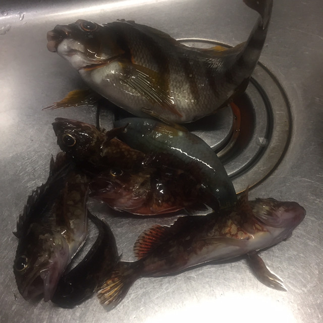 竹林 長崎市その他 中華料理 食べログ 竹林 長崎市その他 中華料理 食べログ