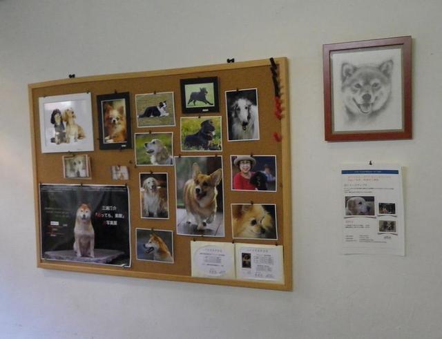 ｃａｆe 茉莉花 - 市役所前（函館）（喫茶店）の写真