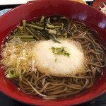 Resutoranshipaku - 山菜とろろソバセット ミニしらす丼付き 1290円。