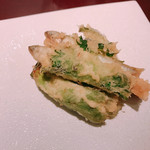 イル アオヤマ - 