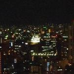 SINC BISTRO - レストランから見ることができる大阪城。