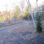 Fogliolina della Porta Fortuna