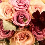 鶴見ノ森 迎賓館 - お花や緑が好きな人にはピッタリ