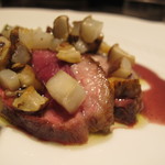 フォリオリーナ・デッラ・ポルタ・フォルトゥーナ - 青首鴨のアップ