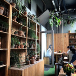 Nicolai Bergmann NOMU - 