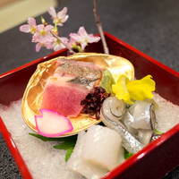 大橋屋 本町茶寮 - お造り