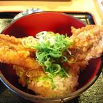 イルカ - 穴子丼