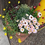 もんど - 店頭の風景　2019.4