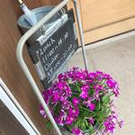 カフェ チルコリーノ - 