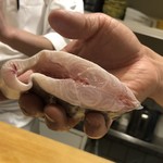 割烹 白鷹 - 瀬戸内の太刀魚。この肉厚は凄い。こんなサイズ滅多に揚がらない筈。焼き物は他に喉黒、鰻、穴子が選べますが、この時期、鰻は養殖ということで、この太刀魚が今日のお店の一押しでした（＾◇＾）