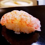 日本橋蛎殻町 すぎた - 江差 北海しまえび