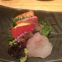 いぶき 東京駅 TEKKO avenue - ３．生本鮪と鮮魚三種