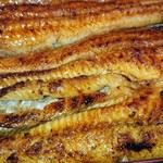 川京 - うなぎ♪近寄ってみた