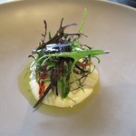 レストラン ウオゼン - アオリイカサラダ