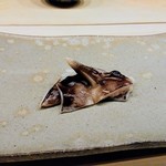 鮨 おおが - 舞鶴の鳥貝