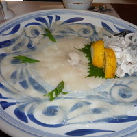 ふぐ・日本料理 喜楽庵 - ふぐ刺し