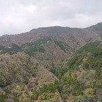 日本料理 虎白 - 周辺雰囲気。