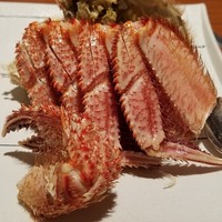 銀座瀬里奈 - 