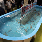 函館朝市 駅二市場 活いか釣り広場 - 生け簀