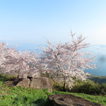Shiudeyama Isekikan Kissakona - 桜も満開♪