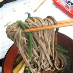 ドライブイン剣 - 濃いめのおつゆだけど、しつこくないです。