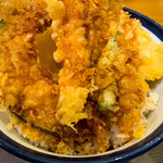 Tendon Tenya - 